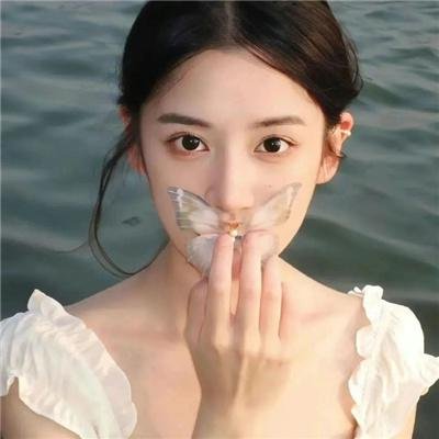灵狼传奇
