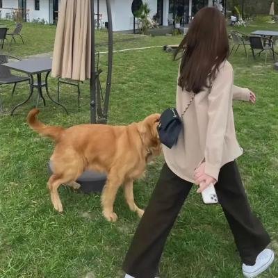 穿梭时空大逃亡